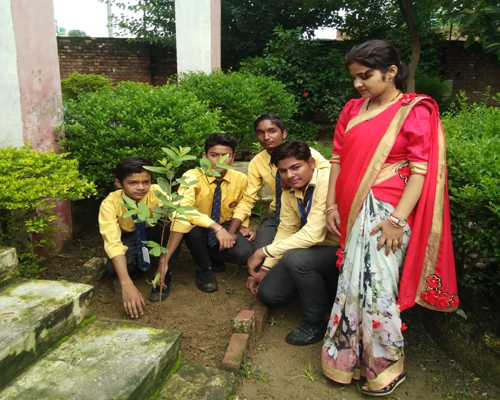 Gallery Image 34